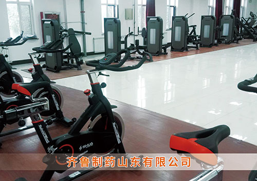 ​3377体育为齐鲁制药呼和浩特分公司打造健身房